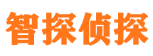 新干市私家侦探